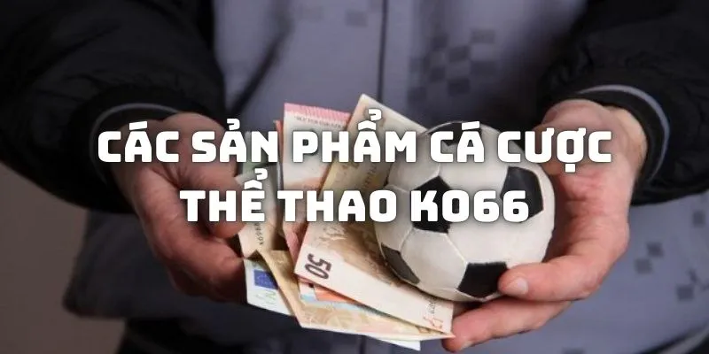 Các sản phẩm cá cược thể thao KO66 hấp dẫn nhất