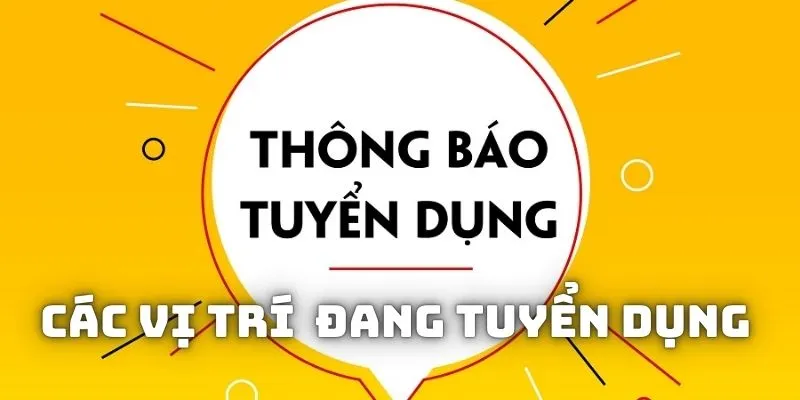 Các vị trí mà nền tảng đang tuyển dụng