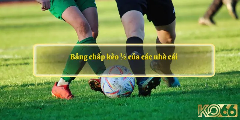 Bảng chấp kèo 1/2 của các nhà cái